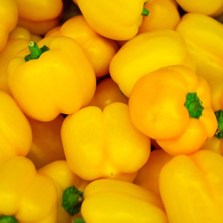 Paprika, sárga
