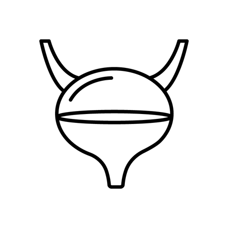 Húgyutak