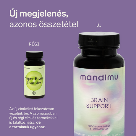 Agytámogatás