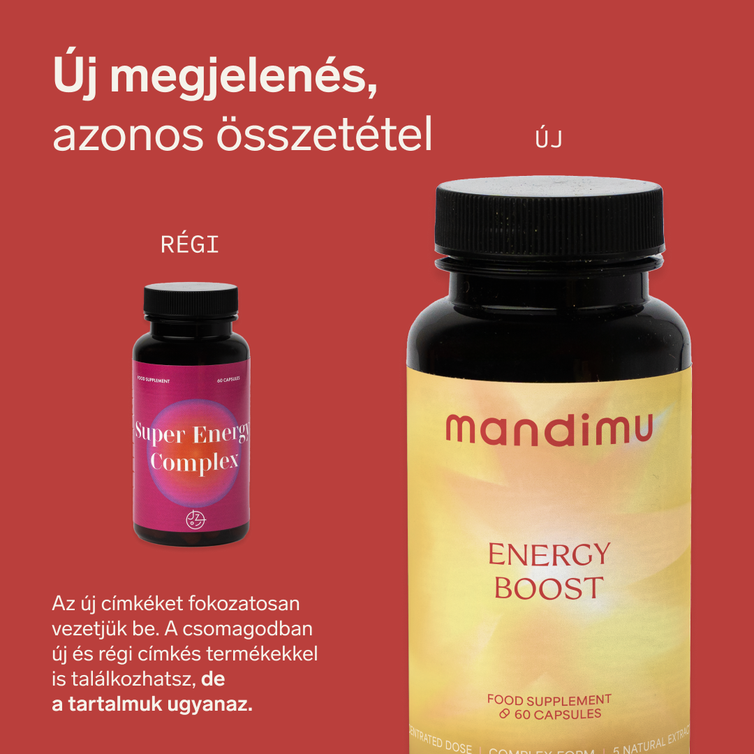 Energiatámogatás