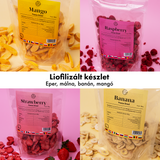 Fagyasztva szárított gyümölcskészlet – eper, málna, banán és mangó 🍌🥭🍓(Liofilizált)